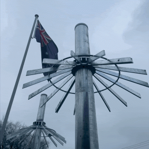 Anti-Climb Collar with Australian Flag waving in the background on an overcast day